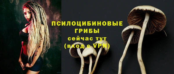 каннабис Алзамай